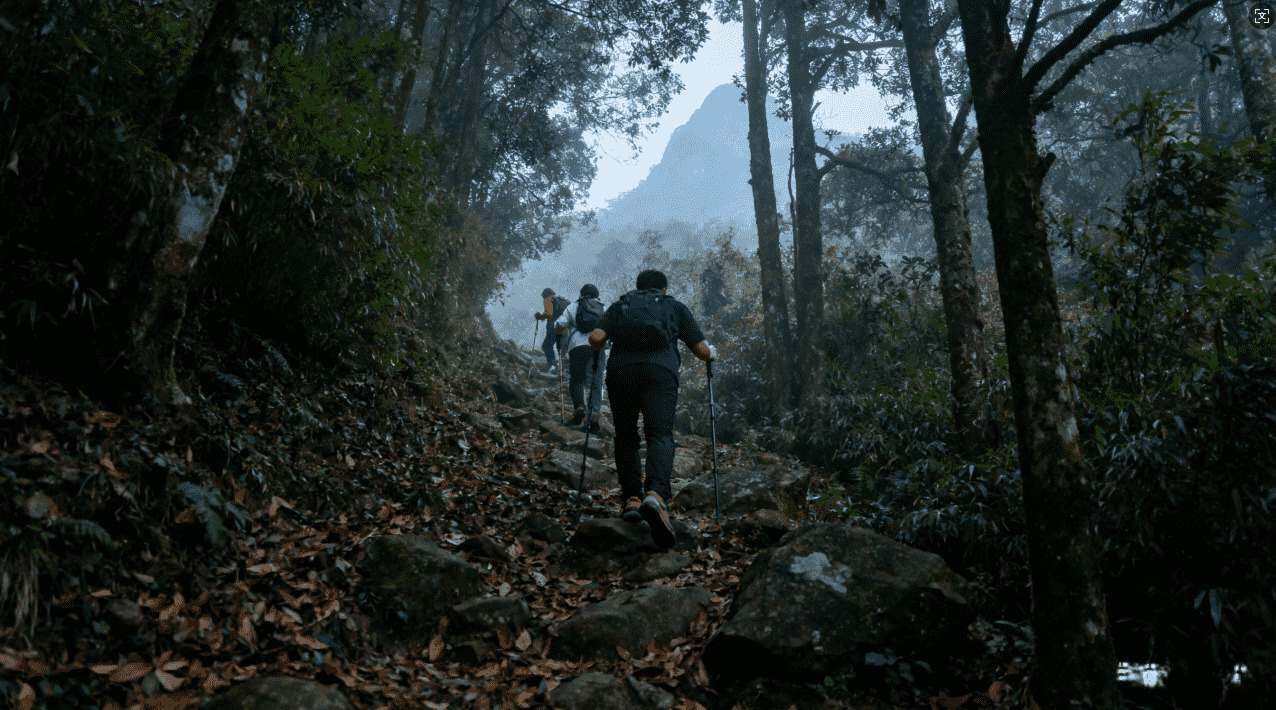 免费推特登录加速器推荐与安全性分析